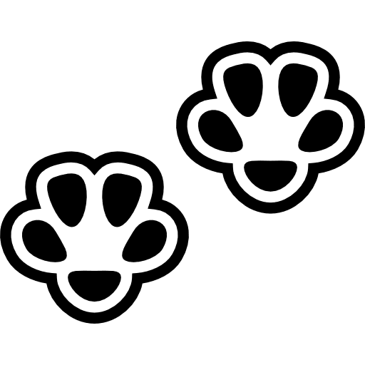 Pawprints prints cat paws icon