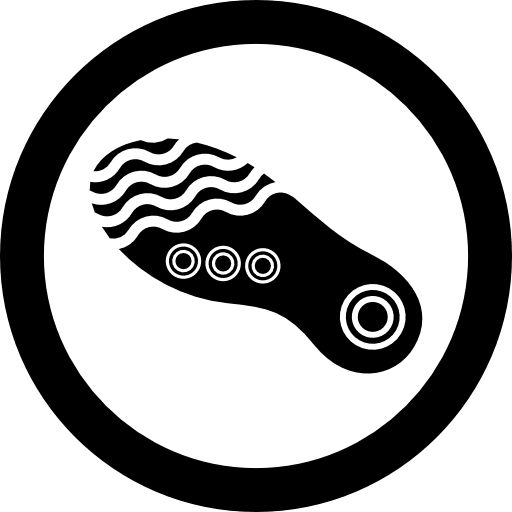 Shoeprint shoes footprint footwear icon