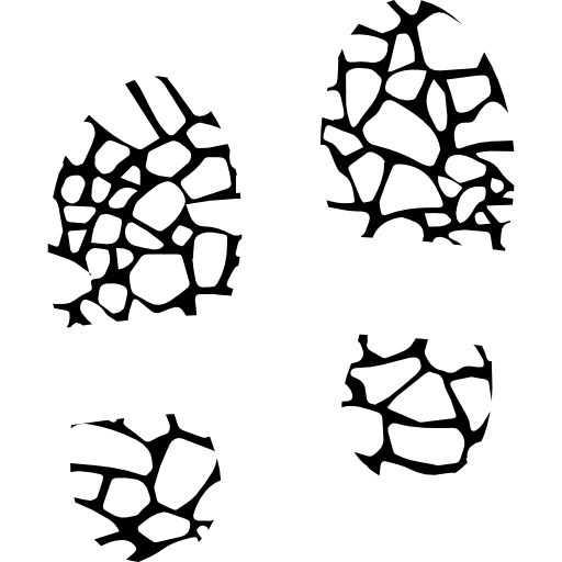 Shoeprints prints shoes footwear icon