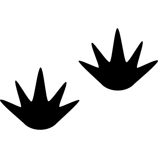 Bird prints birds print animal icon