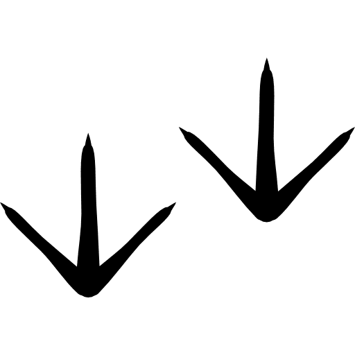 Chicken prints farm animal print icon