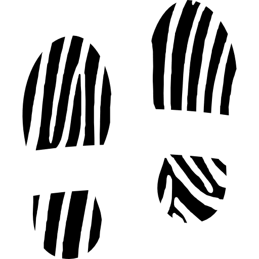 Footprints shoe prints footwear prints icon