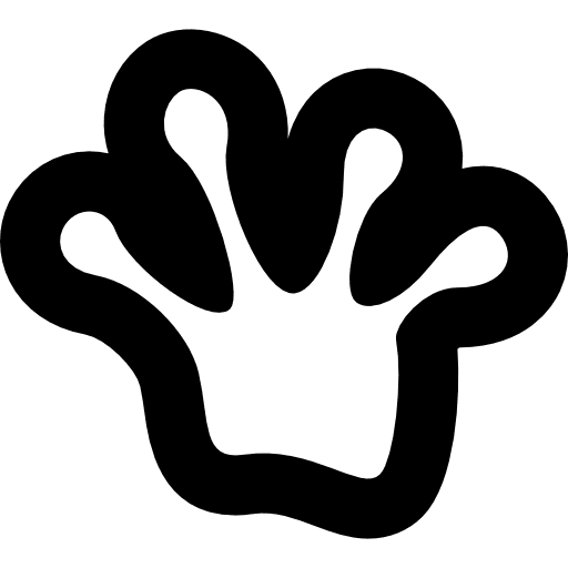 Frog  wildlife amphibian animal icon