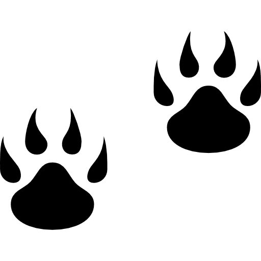 Pawprints animal animals paws icon