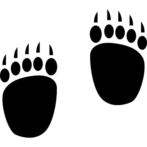 Pawprints prints animals zoo icon