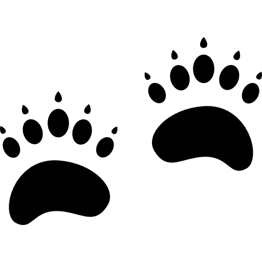 Pawprints animal animals footprints icon