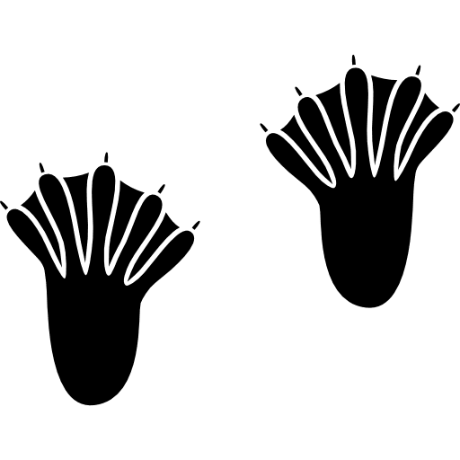 Pawprints wildlife prints paw icon