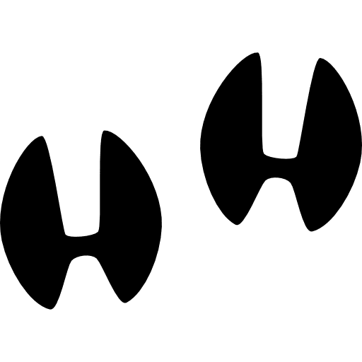 Hoofprints prints hog animal icon