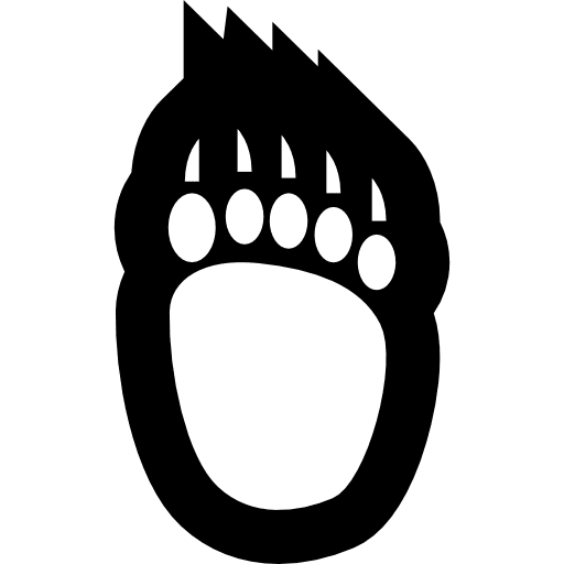 Pawprint zoo bear animal icon