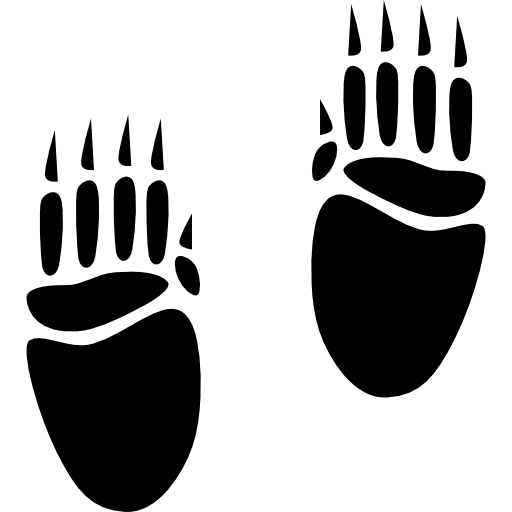 Pawprints animal paw prints icon