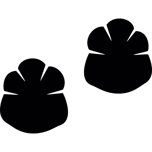 Pawprints paws zoo shapes icon