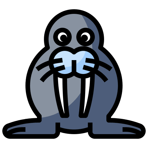 Walrus animal walrus animals icon