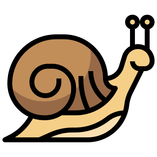 Snail animal kingdom animals animal icon