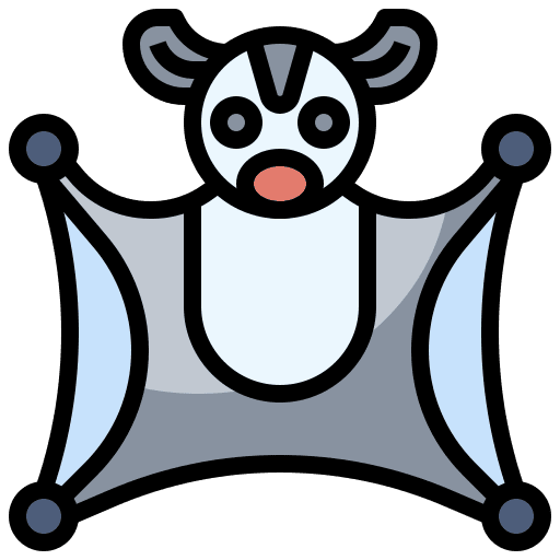 Sugar glider sugar glider mammal wild life icon
