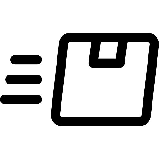 Fast delivery package urgent box icon