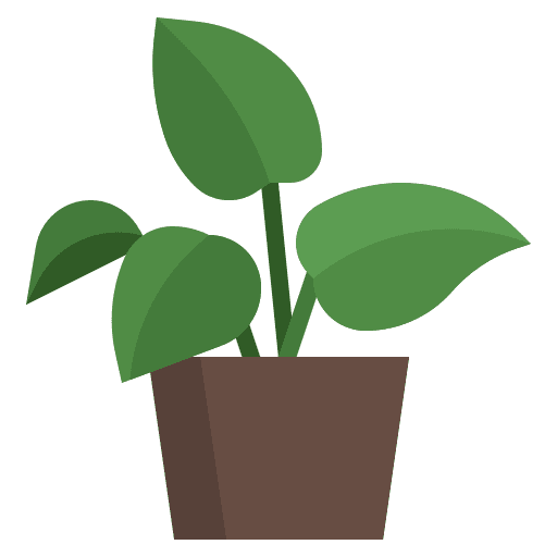 Golden pothos plant nature ecology icon