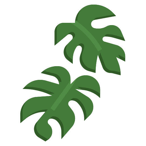 Monstera leaf ecology nature exotic icon