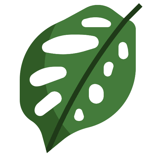 Monstera leaf exotic plant ecology icon