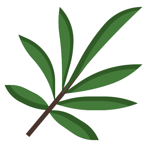 Palm ecology exotic nature icon