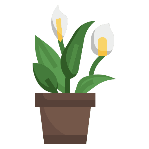 Peace lily nature farming and gardening leaf icon