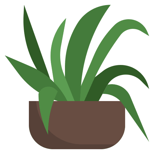 Spider plant nature exotic flower icon