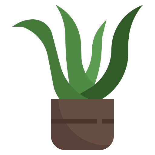 Aloe vera exotic organic green icon Aloe vera exotic organic green icon