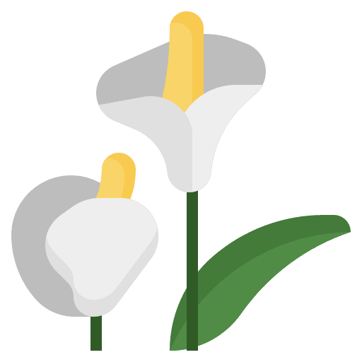 Araceae ecology araceae nature icon Araceae ecology araceae nature icon