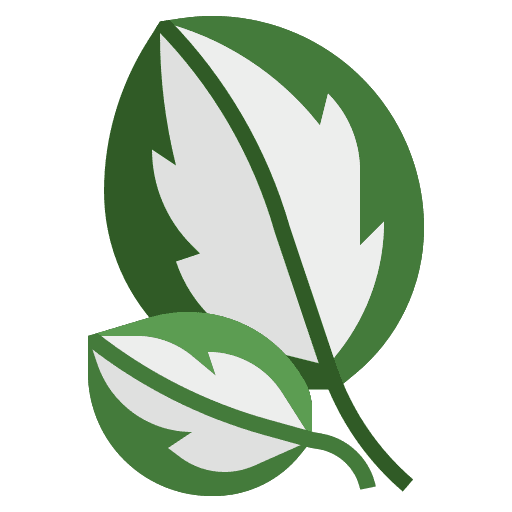 Calathea leaf exotic plant icon Calathea leaf exotic plant icon