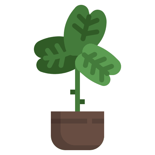 Fiddle fig fiddle fig nature farming and gardening icon Fiddle fig fiddle fig nature farming and gardening icon