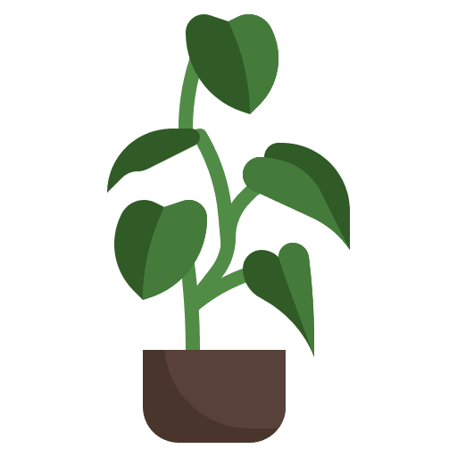 Philodendron philodendron ecology exotic icon Philodendron philodendron ecology exotic icon