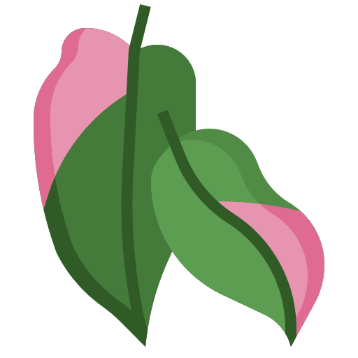 Philodendron plant nature exotic icon Philodendron plant nature exotic icon