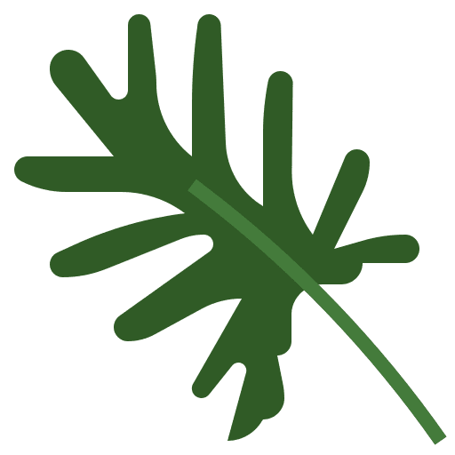 Philodendron xanadu ecology exotic plant icon Philodendron xanadu ecology exotic plant icon