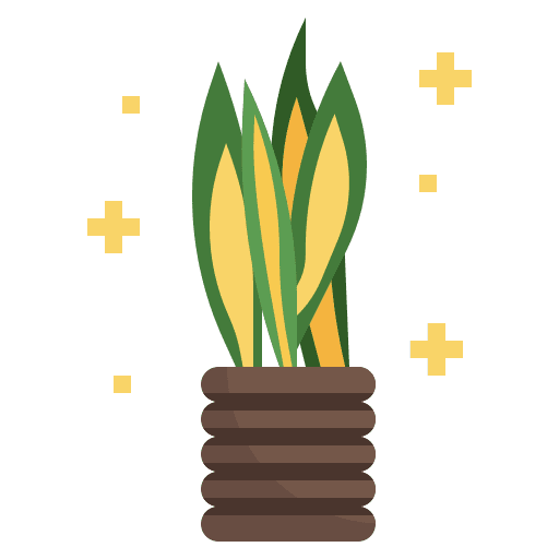 Variegated snake plant exotic flower leaf icon Variegated snake plant exotic flower leaf icon