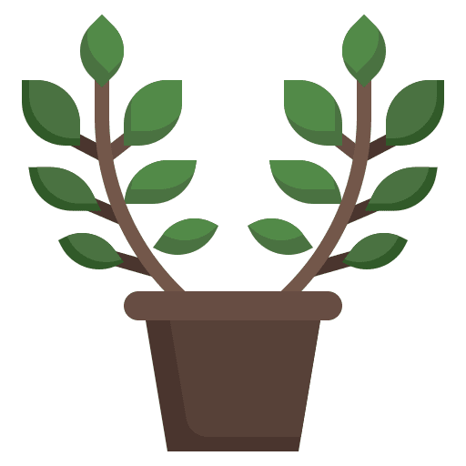 Zamioculcas exotic plant ecology icon Zamioculcas exotic plant ecology icon