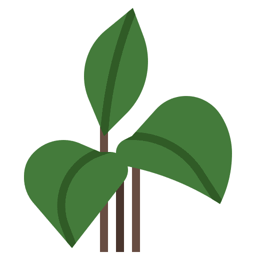 Dumb cane nature ecology farming and gardening icon Dumb cane nature ecology farming and gardening icon