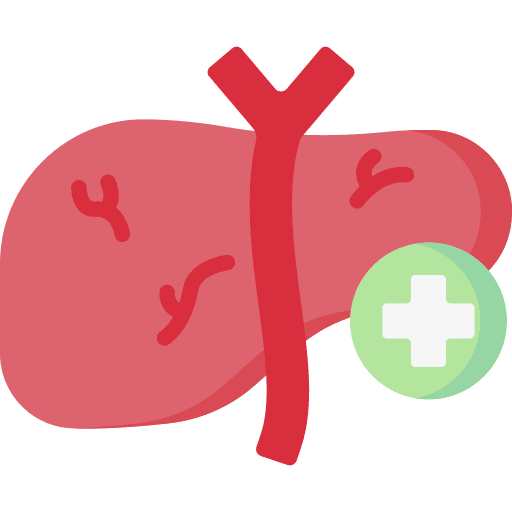 Hepatology body organ doctor hospital icon