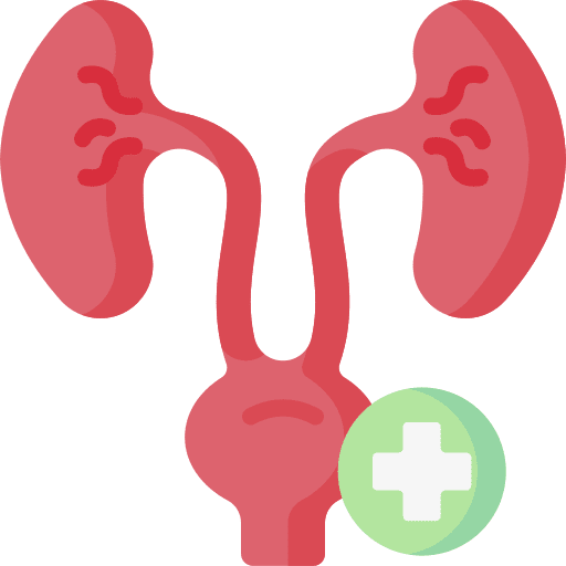 Urology urologist urology body parts icon