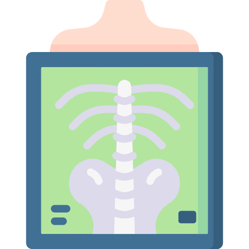 X rays skeleton healthcare and medical bones icon