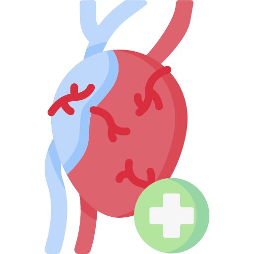 Cardiology cardiology cardiovascular healthcare and medical icon Cardiology cardiology cardiovascular healthcare and medical icon