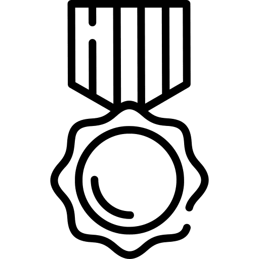 Medal medal award reward icon