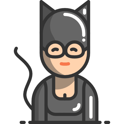 Catwoman catwoman people superheroe icon