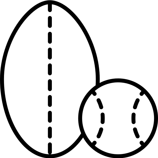 Sport sport sports football icon