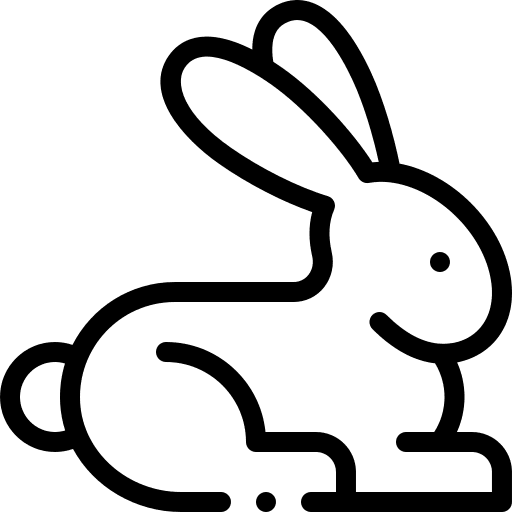 Rabbit highlight stories rabbit animals icon