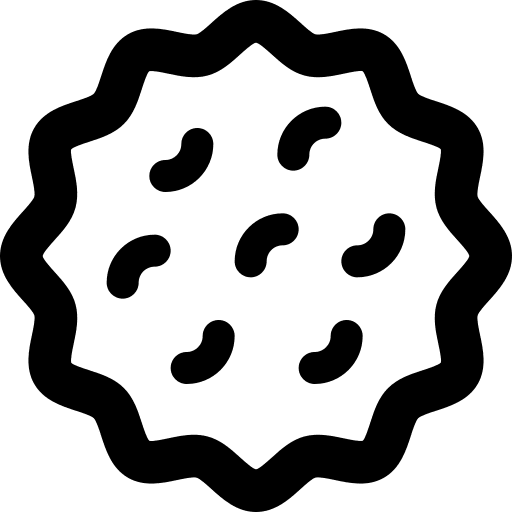 Cookie chocolate chip biscuit sweet icon