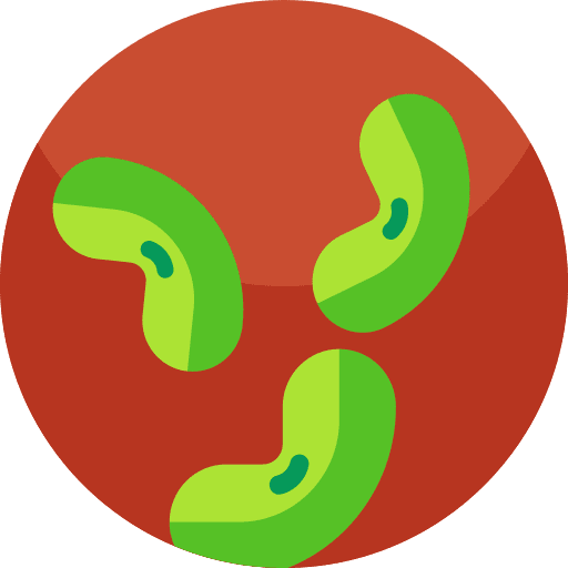 Seeds garden gardening agriculture icon