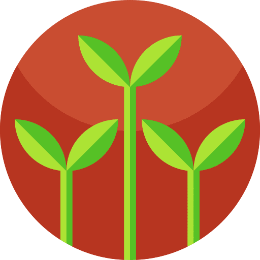 Sprouts plant garden sprouts icon