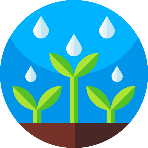 Rain sprouts rain seed icon