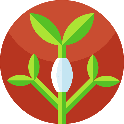 Scion growing plant scion sprout icon