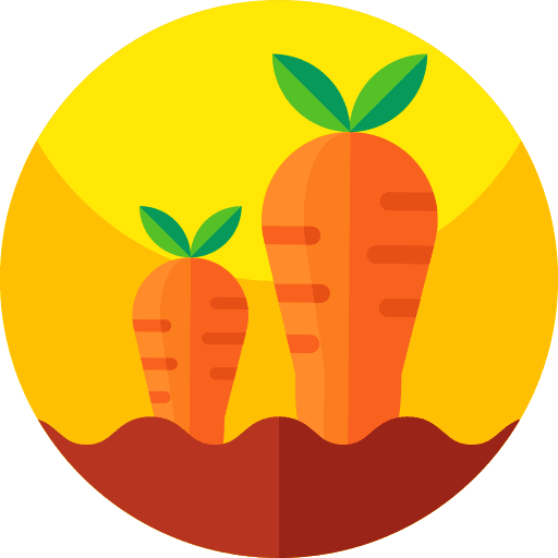 Carrot garden healthy food vegan icon