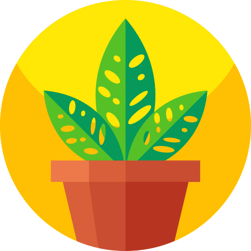 Plant pot botanic plant nature icon